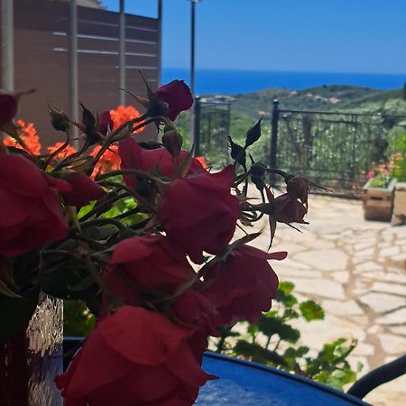 Sogno 2 Βίλα Πάργα Εξωτερικό φωτογραφία