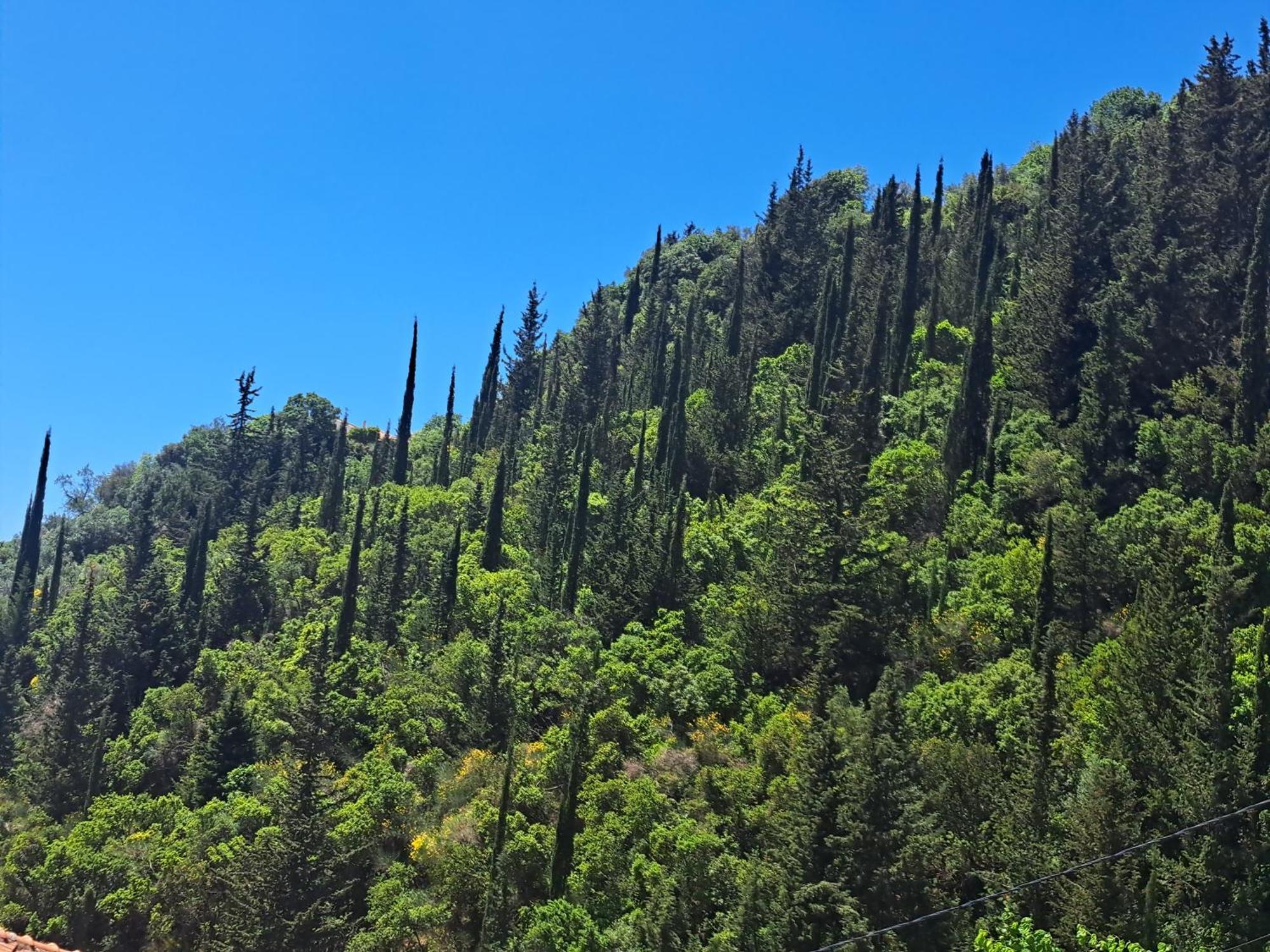 Sogno 2 Βίλα Πάργα Εξωτερικό φωτογραφία