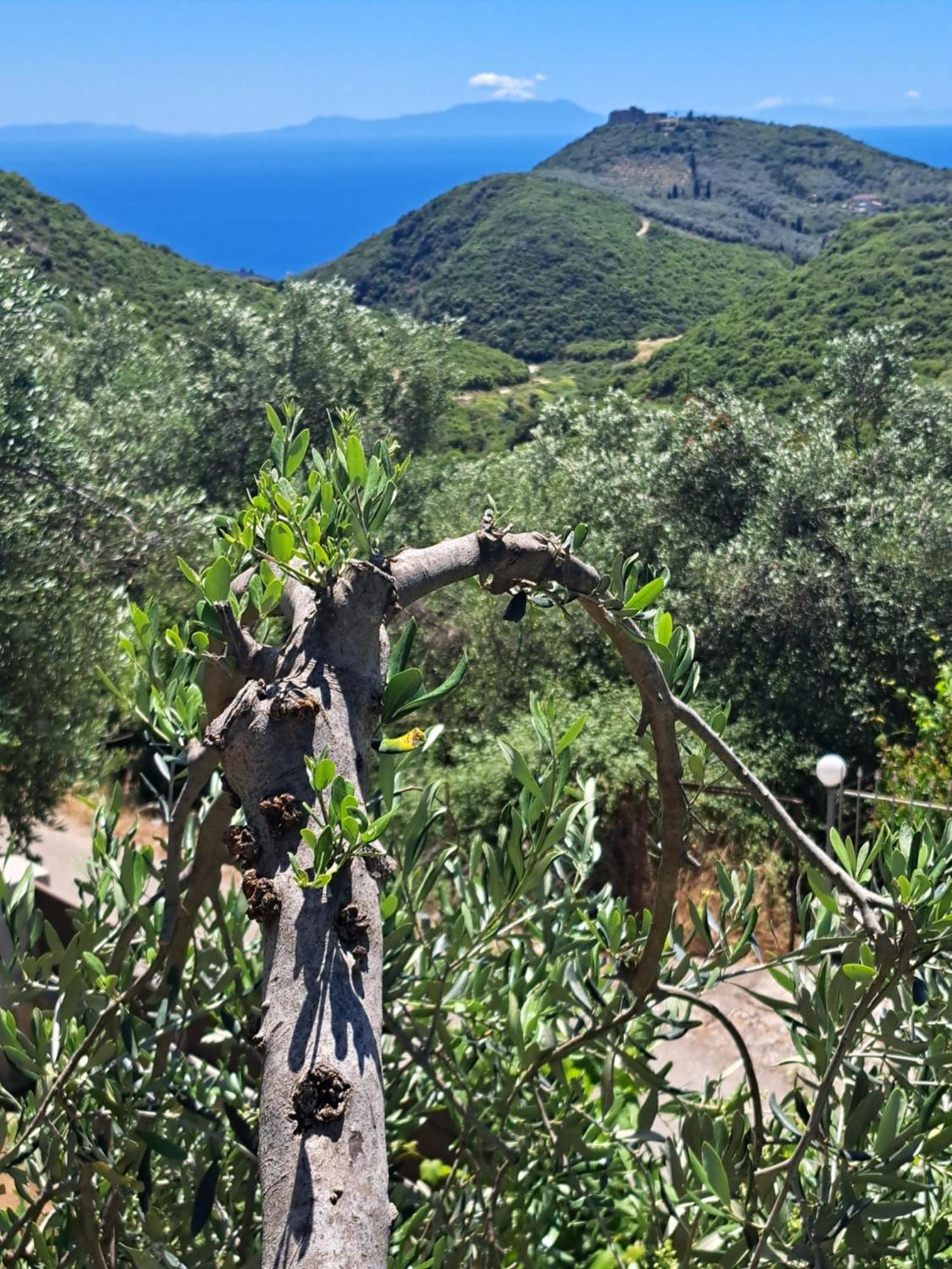 Sogno 2 Βίλα Πάργα Εξωτερικό φωτογραφία