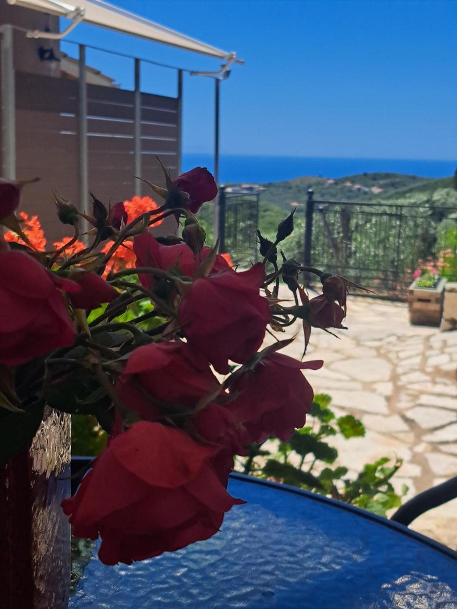 Sogno 2 Βίλα Πάργα Εξωτερικό φωτογραφία