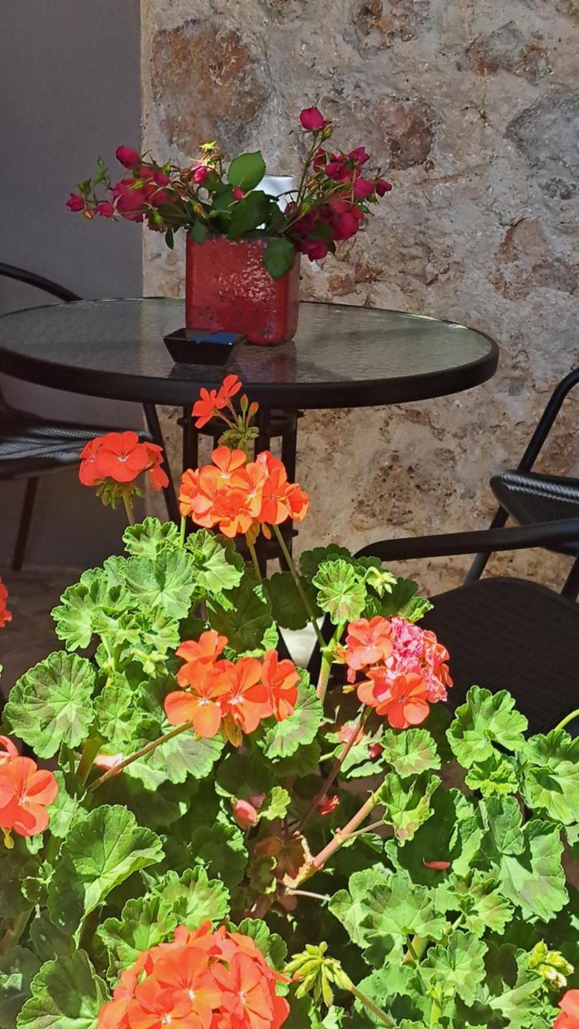 Sogno 2 Βίλα Πάργα Εξωτερικό φωτογραφία
